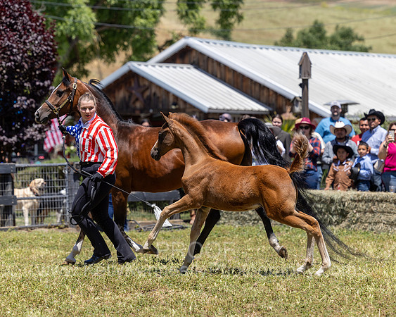 ShermanRanch0524_0221