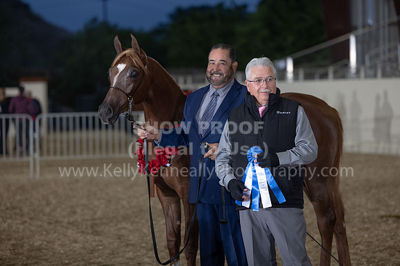 AHANC22_R5_Wed_0548