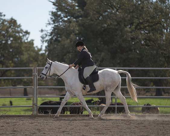 2016_HalloweenOpenShow_291