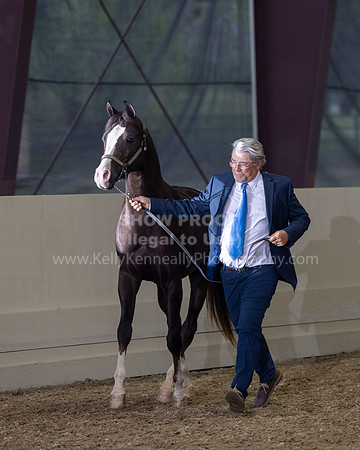 AHANC22_R5_Wed_0380