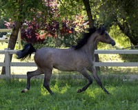 LaVitaBellaRA_Apr25_5599