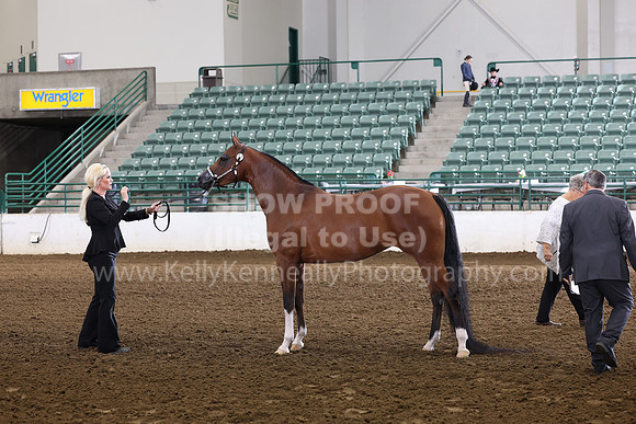 R322_CH_Thurs_2296