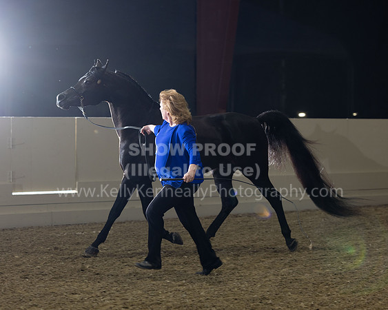AHANC22_R5_Wed_0675