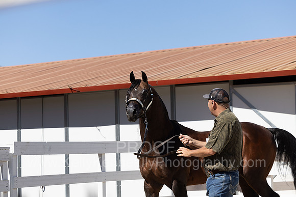 BeckersExtravaganza24_Sat1_0631