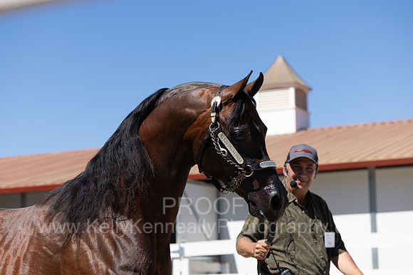 BeckersExtravaganza24_Sat1_0663