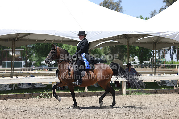 DAHA22_Fri_1943