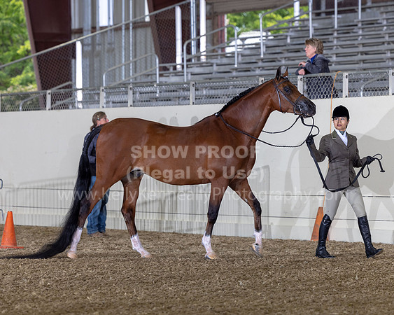 AHANC22_R5_Wed_0275