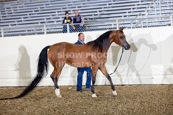 AHANC22_R5_Wed_0573