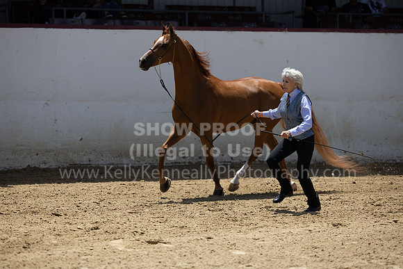 R2_22_Thurs_0410