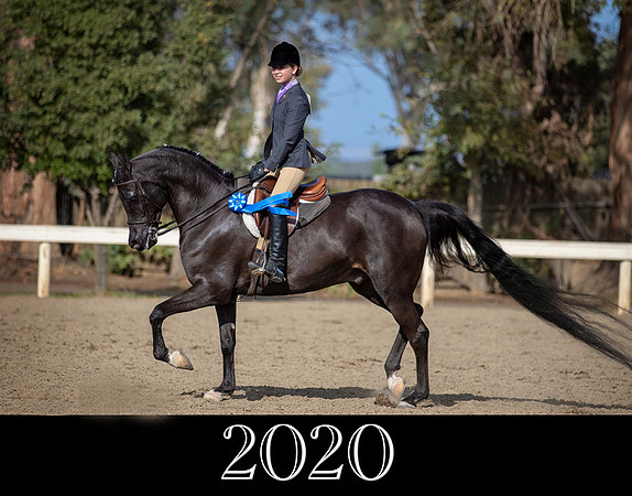 2020_KKPWebsite_DAHAFall20_Fri_PM_Eve_1594
