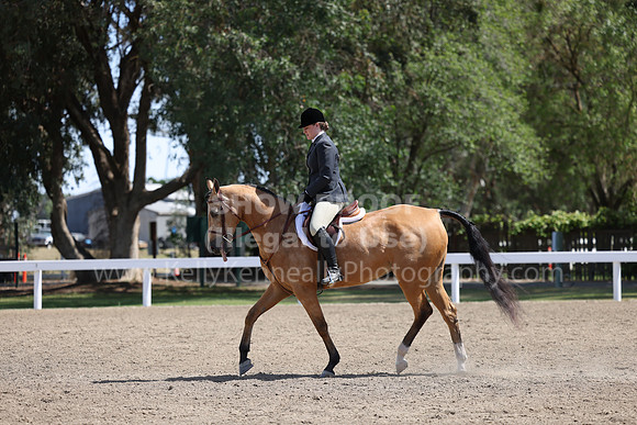 DAHA22_Thurs_0863
