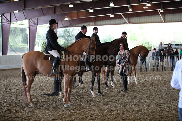 AHANC22_Wed_0319