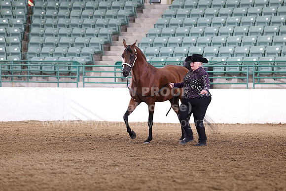 R322_CH_Thurs_2754