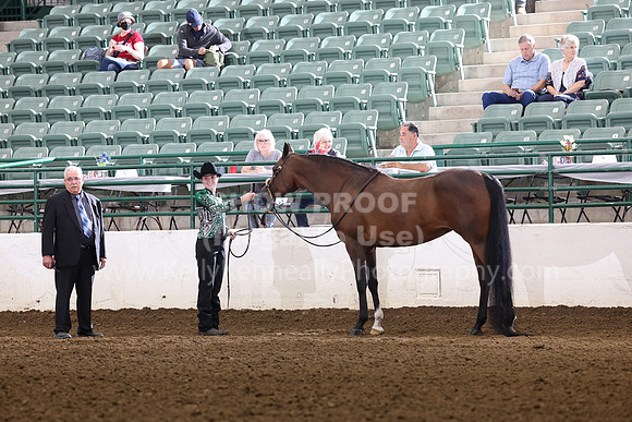 R322_CH_Thurs_2309