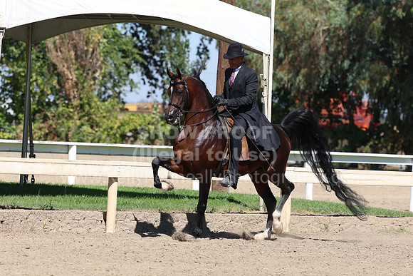 DAHA_FF22_2877
