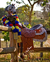 SaddleTrophy_5509