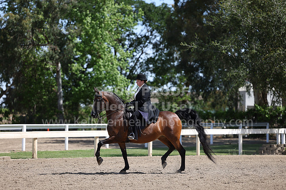 DAHA22_Thurs_0805