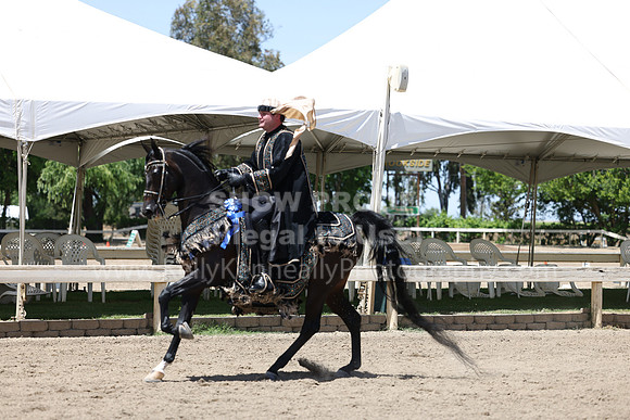 DAHA22_Thurs_1179