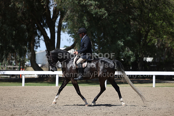 DAHA22_Thurs_1396