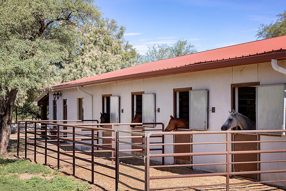 RS_ShowbarnRuns_0452