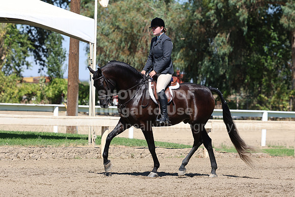 DAHA_FF22_4888