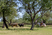 RS_CowWork18_5989