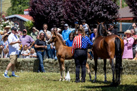 ShermanRanch0524_0483
