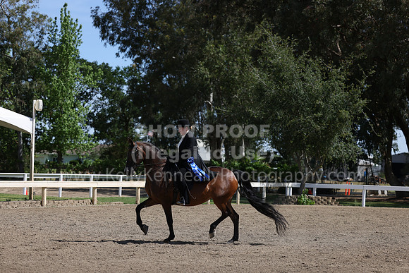 DAHA22_Thurs_0813
