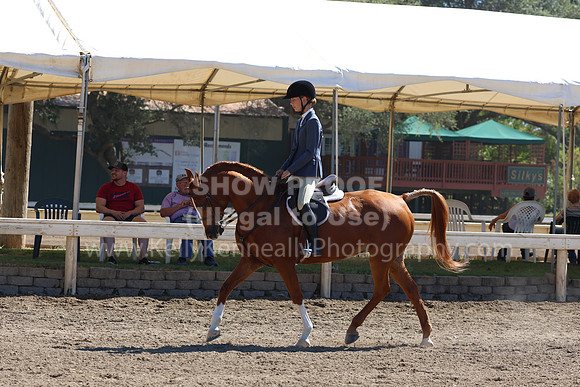 DAHA_FF22_5136