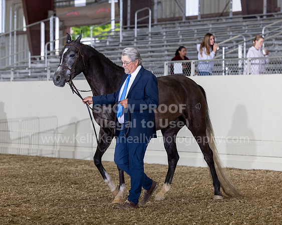 AHANC22_R5_Wed_0253