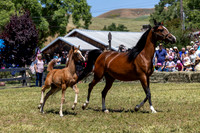 ShermanRanch0524_0289