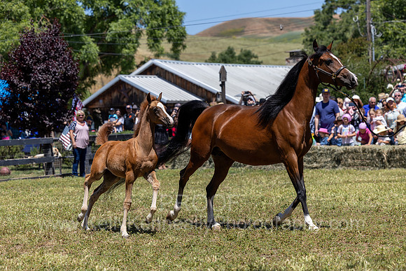 ShermanRanch0524_0289