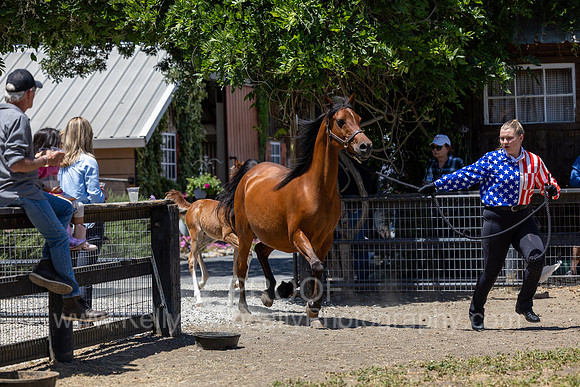 ShermanRanch0524_1977