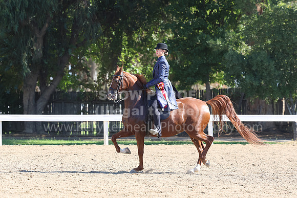 DAHA_FF22_4559