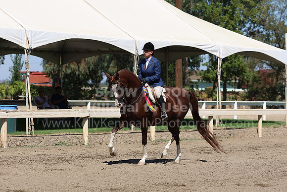 DAHA_FF22_4943