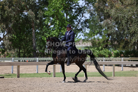 DAHA22_Thurs_1359