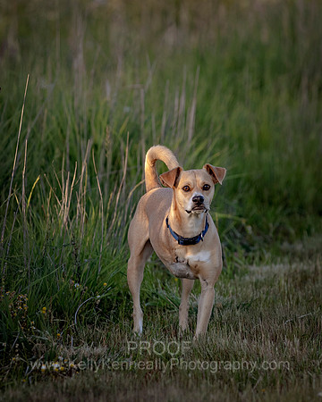 Kellie&Dusty22_1519