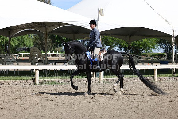 DAHA22_Thurs_0737
