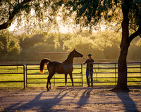 RS_Sunrise_3986