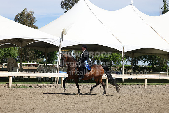 DAHA22_Thurs_0816