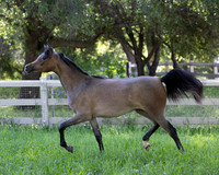 LaVitaBellaRA_Apr25_6036