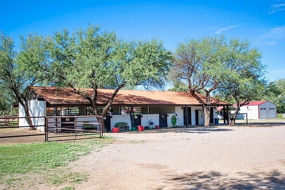 RS_BroodmareBarn_0075