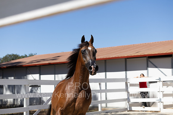 BeckersExtravaganza24_Sat1_0561