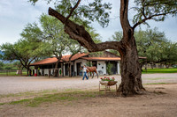 RS_BroodmareBarn_0212