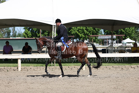 DAHA22_Thurs_0800