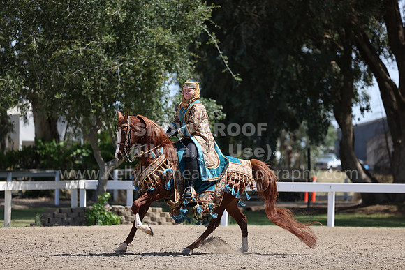 DAHA22_Thurs_0894