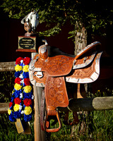 Saddle_5494