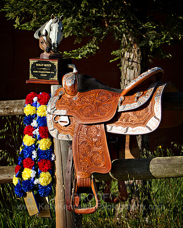 Saddle_5494
