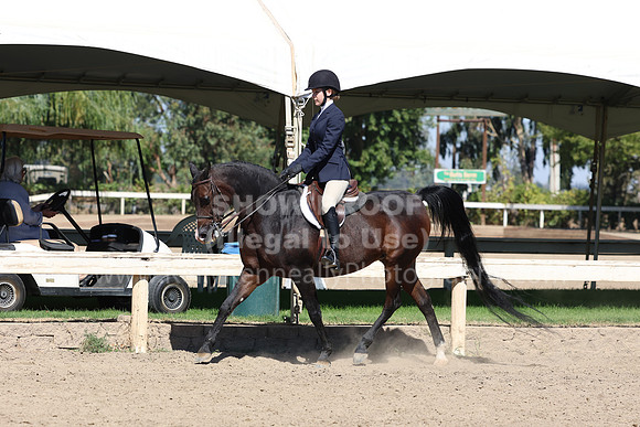 DAHA_FF22_2649