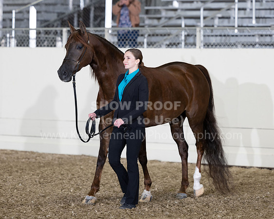 AHANC22_R5_Wed_0447